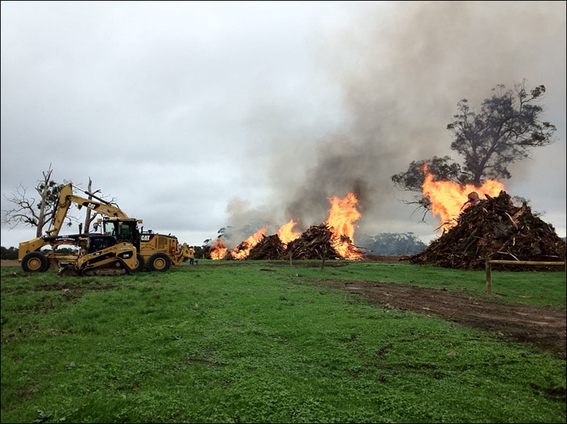 Tree Removal - Hill Earthworks Tree Removal - Hill Earthworks
